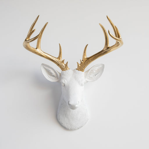 a white deer head with gold antlers on a white background