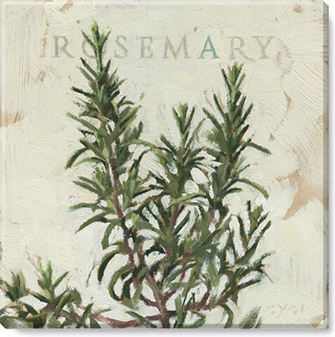 a painting of a plant with the words rosemary on it