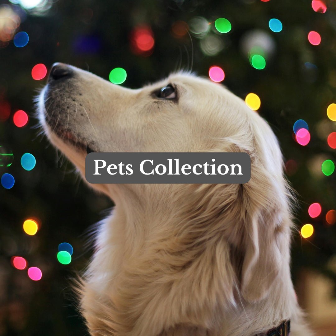 pets collection photo