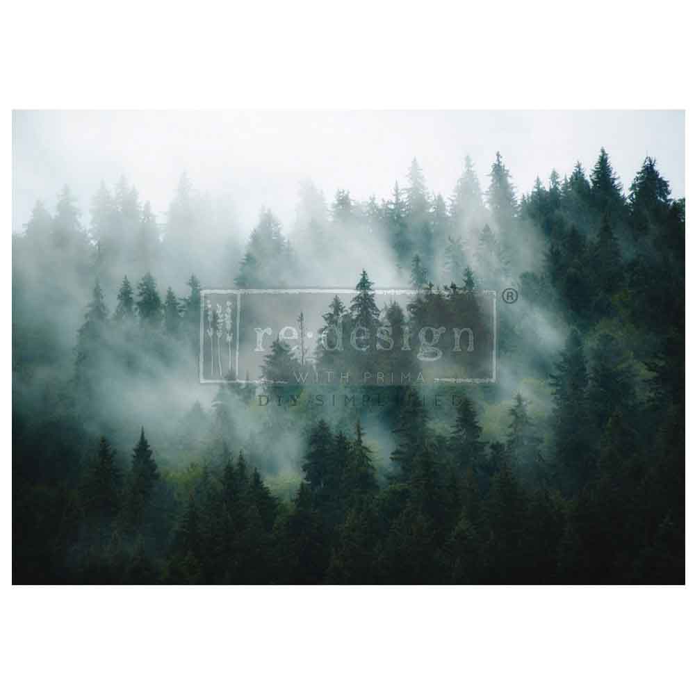 a forest filled with lots of trees covered in fog