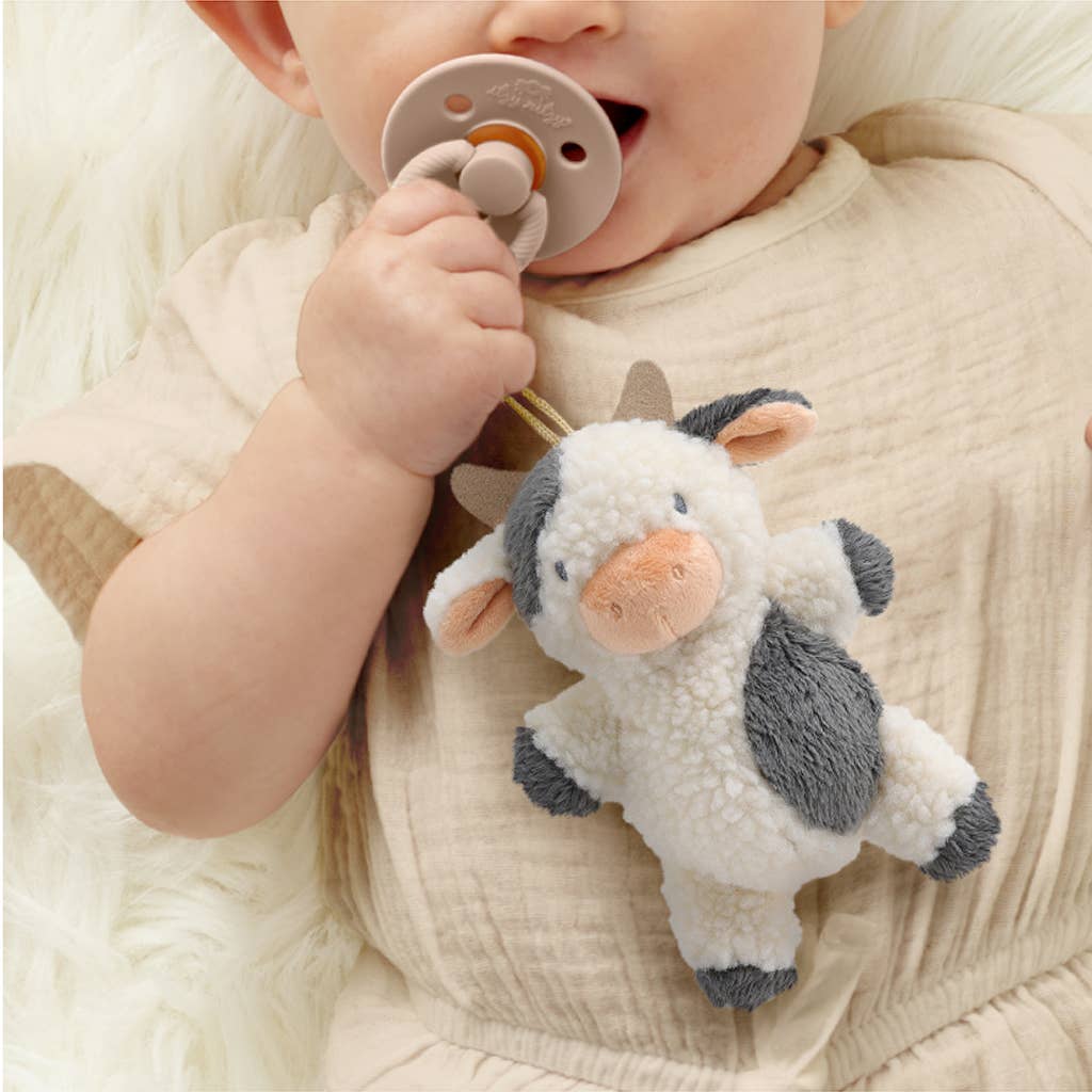 a baby chewing on a pacifier with a stuffed animal