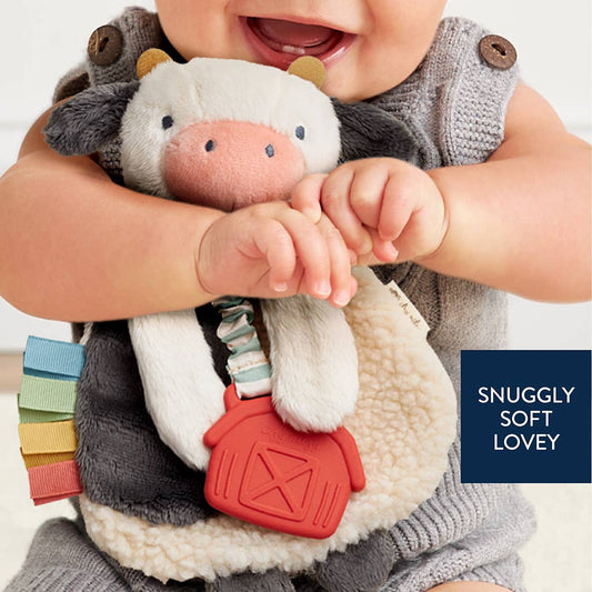 a smiling baby holding a stuffed animal baby teething toy