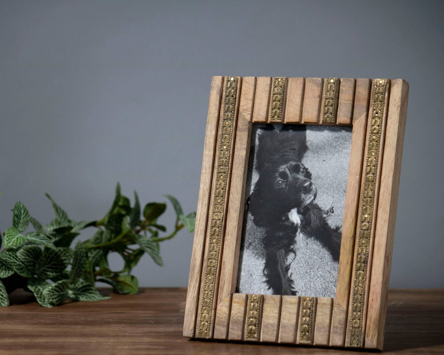 a picture frame sitting on a table next to a plant