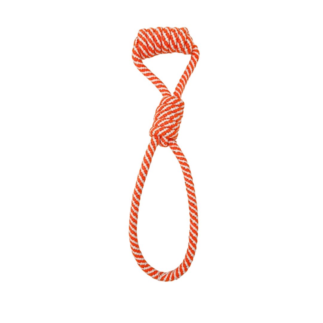 orange dog rope toy