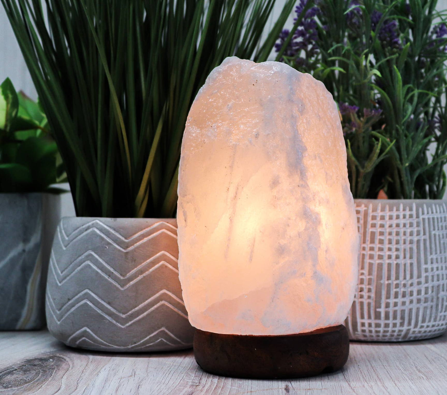 a himalayan salt lamp sitting on a table next to potted plants