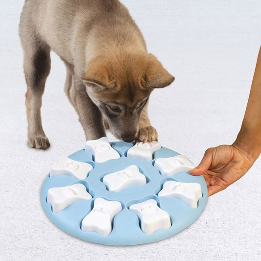 a puppy sniffing a blue and white plate of ice cubes