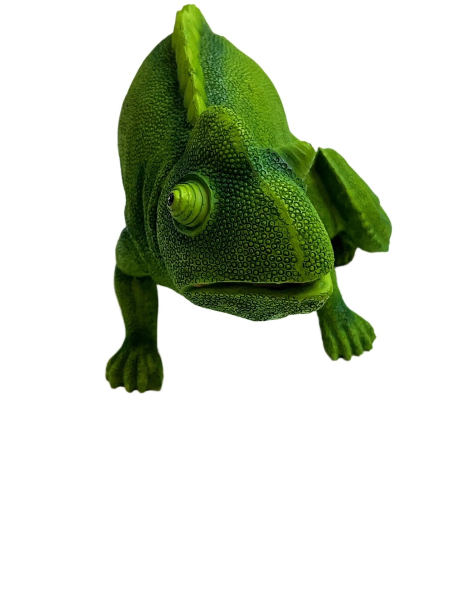 a close up of a green chameleon on a white background