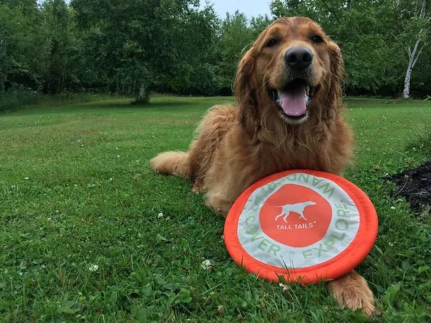 a dog laying in the grass with a frisbee