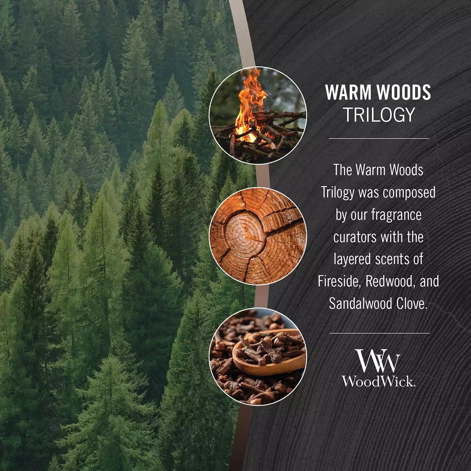 Trilogy Warm Woods Woodwick Candle scent notes