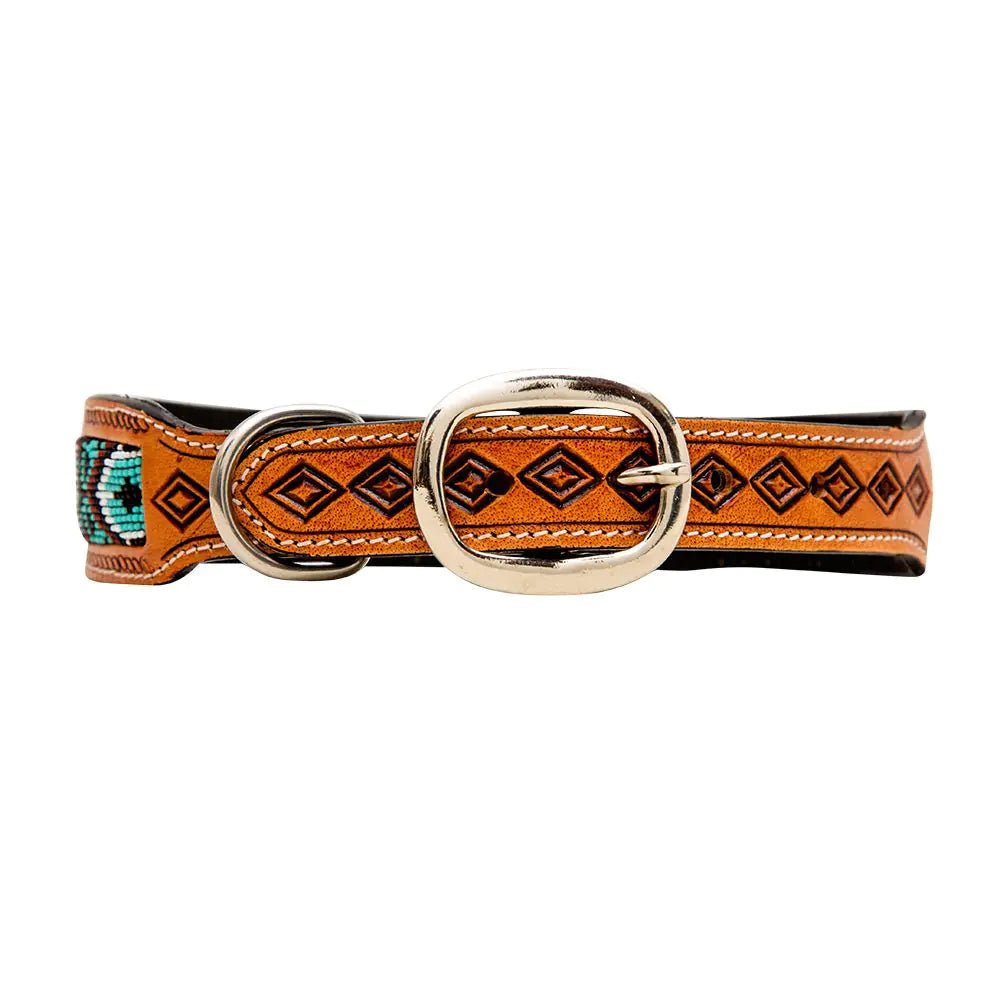 a brown dog collar with a turquoise and orange design