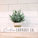 a potted plant sitting on top of a wooden table with a sign that says endless laundry co